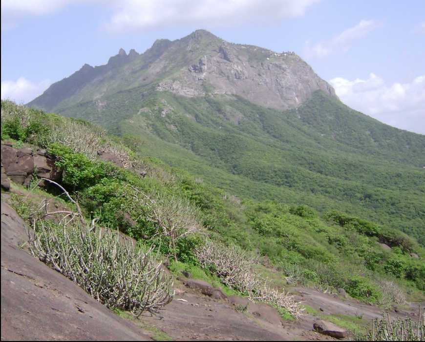 Junagadh