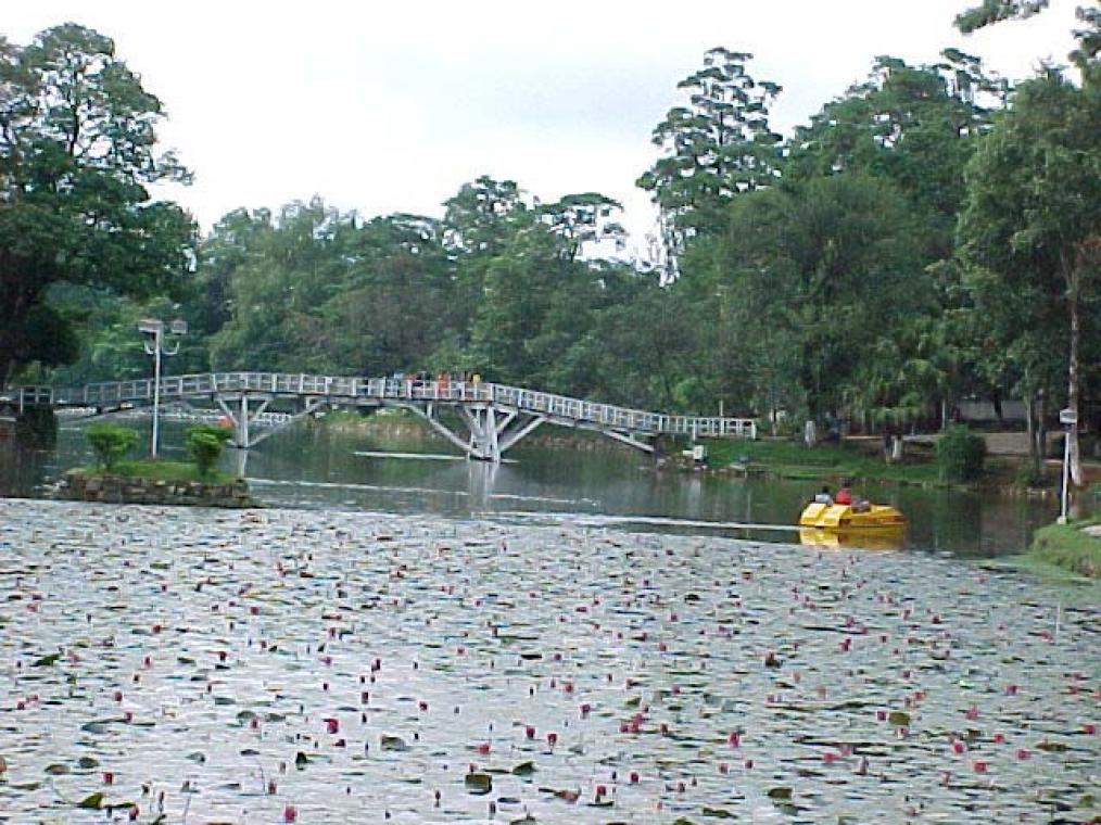 Shillong