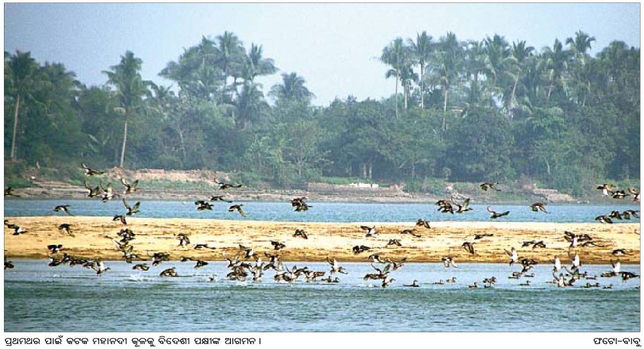 Cuttack