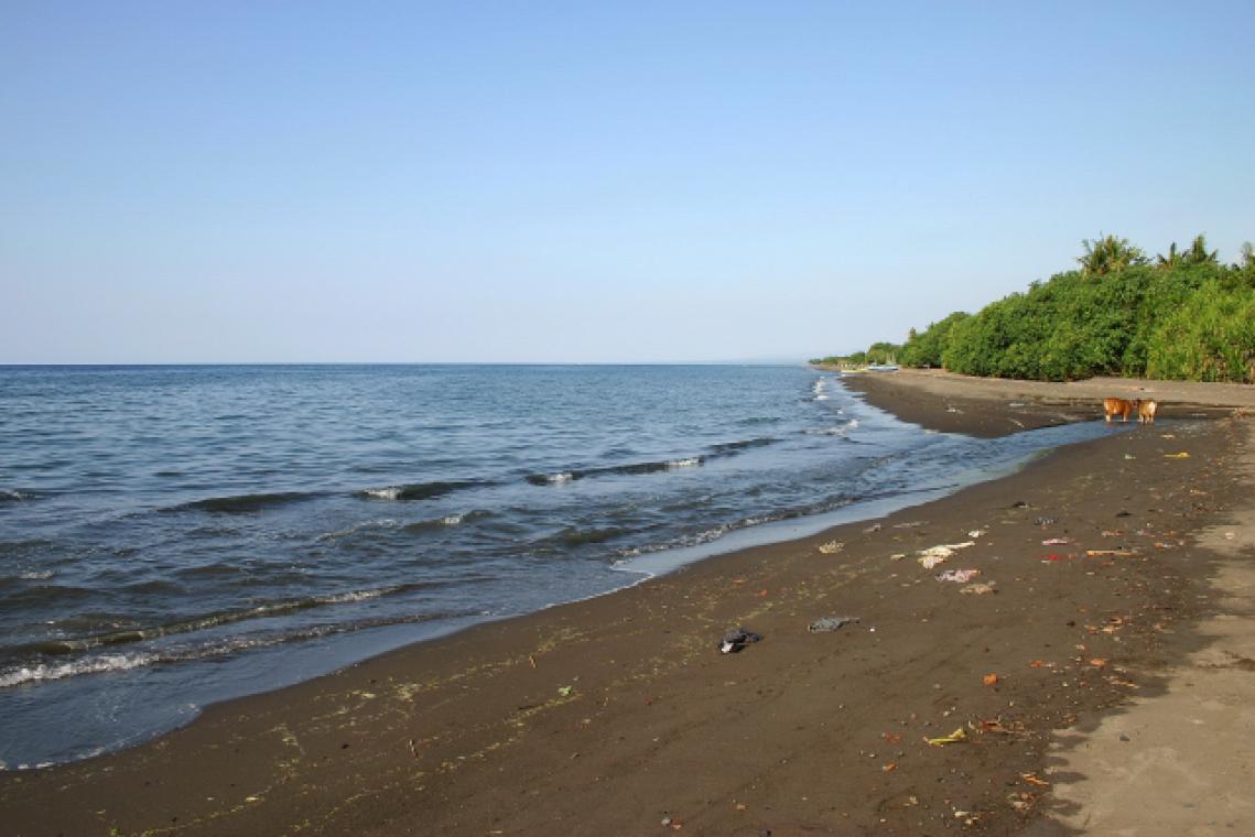 Puri