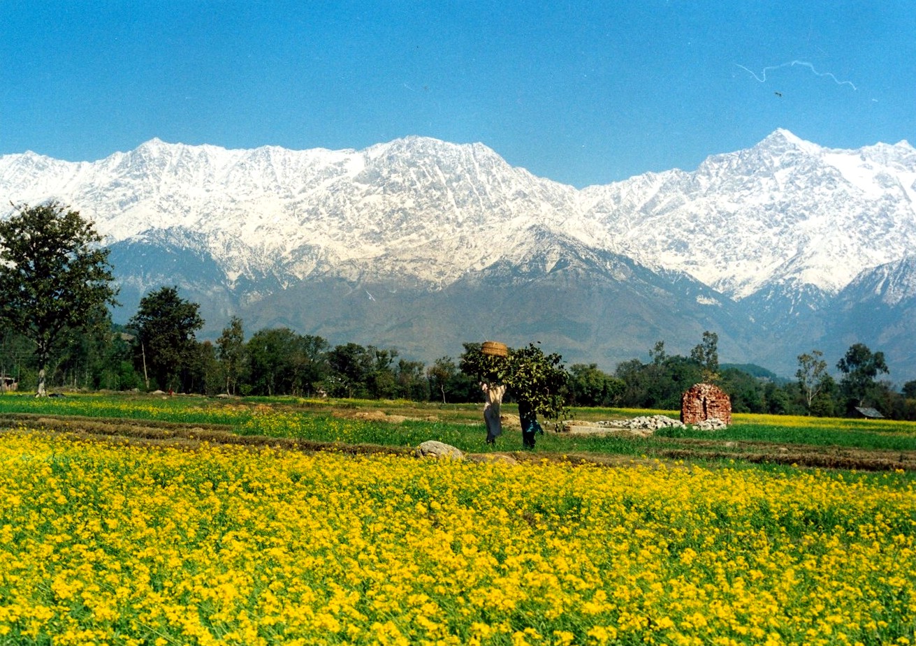 Kangra