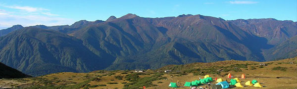 Pelling