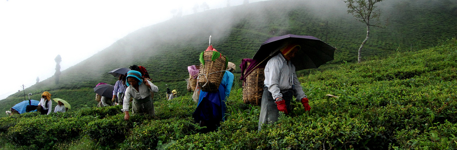 South sikkim