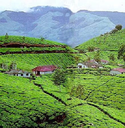 Munnar