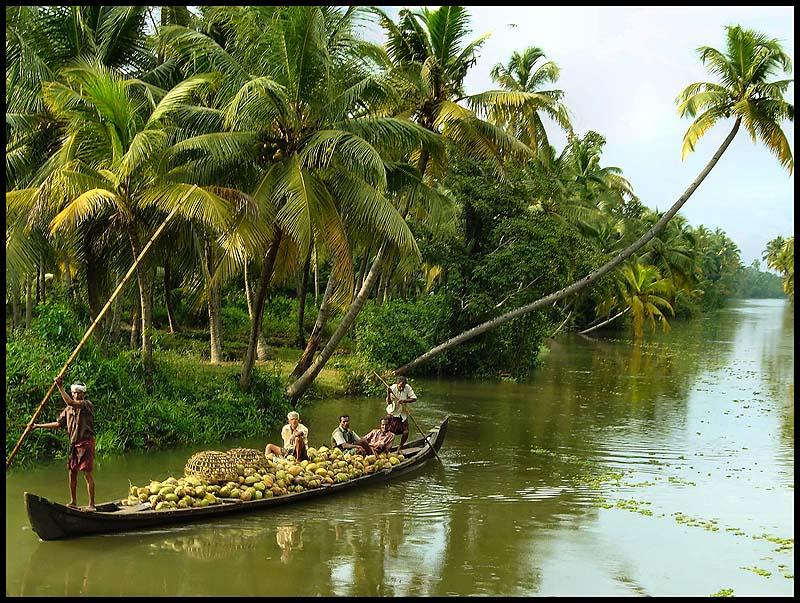 Alleppey 