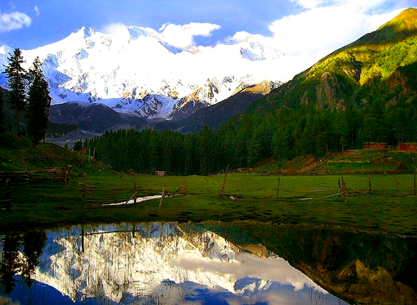 Best Kashmir