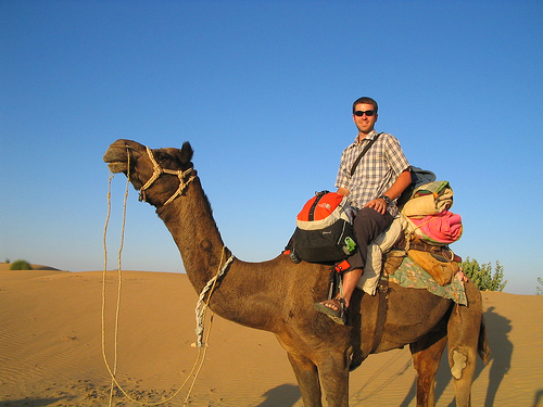 Exploring Rajasthan Tours