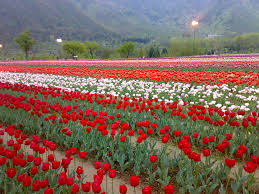 Panorama of Kashmir